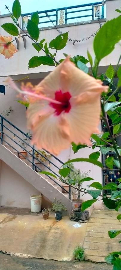 Sahasra Home Stay Hampi Hospet Exterior foto