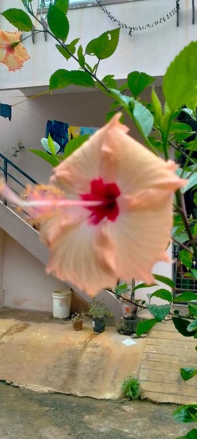 Sahasra Home Stay Hampi Hospet Exterior foto