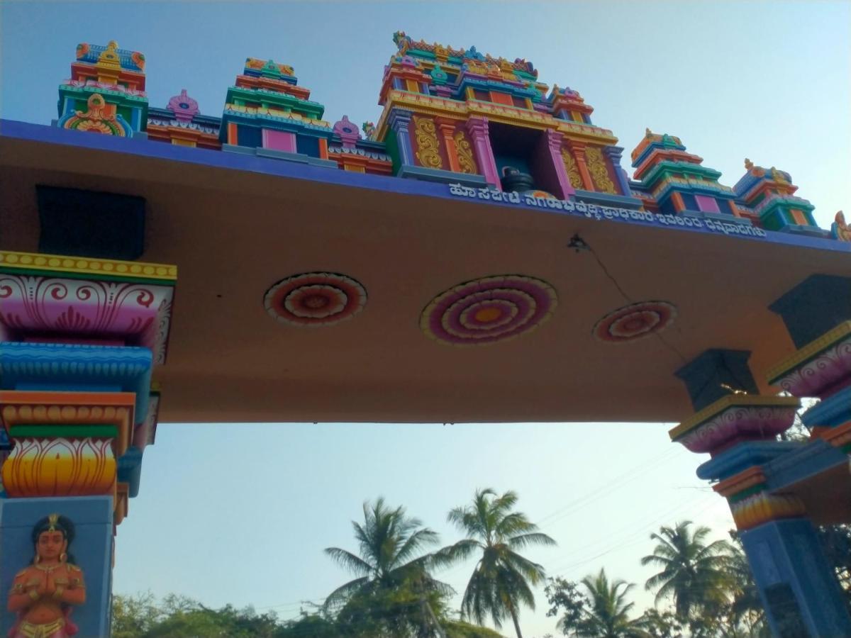 Sahasra Home Stay Hampi Hospet Exterior foto